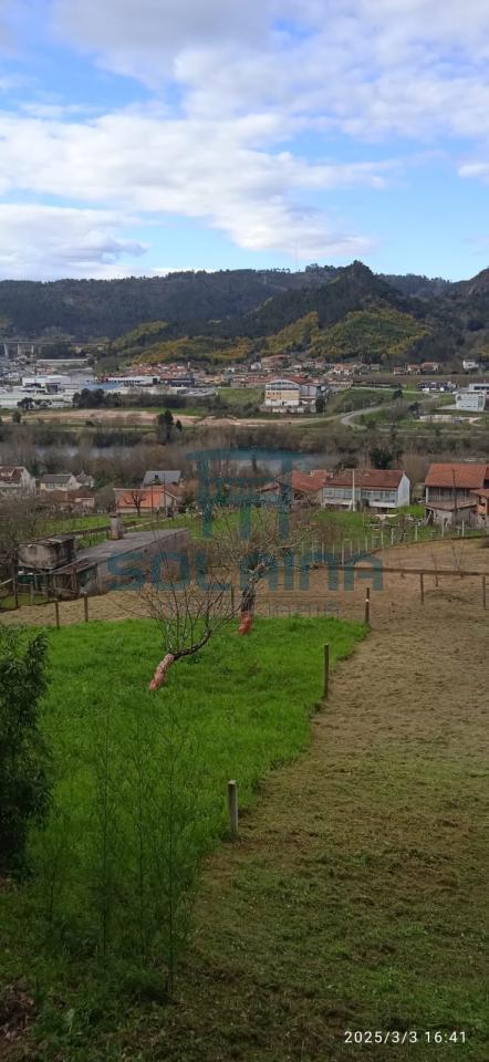 Finca