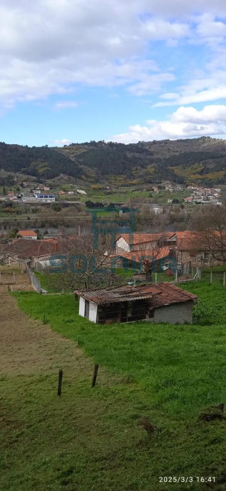 Finca
