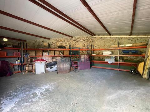 Bodega