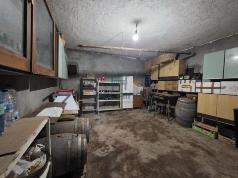 Bodega 