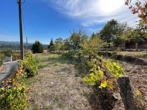Finca