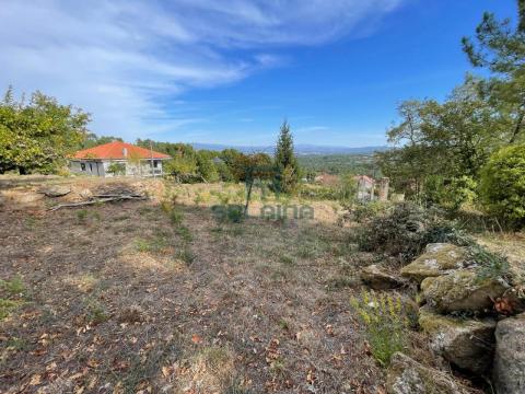 Finca