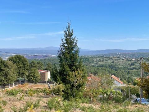 Finca
