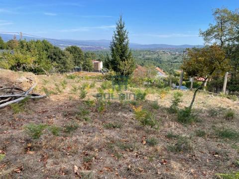 Finca