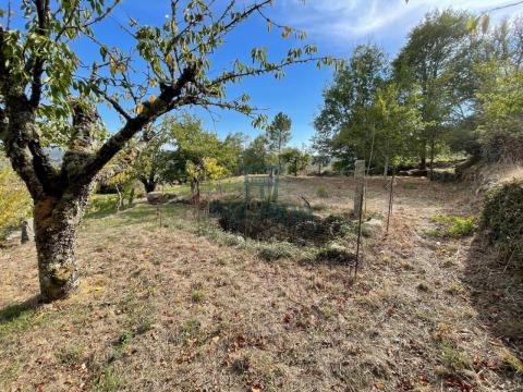 Finca