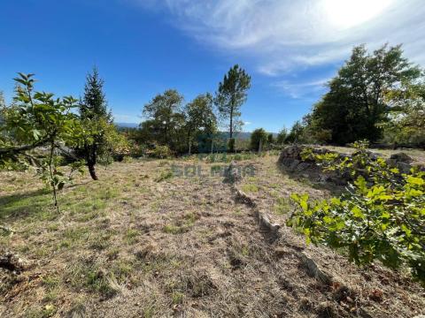 Finca
