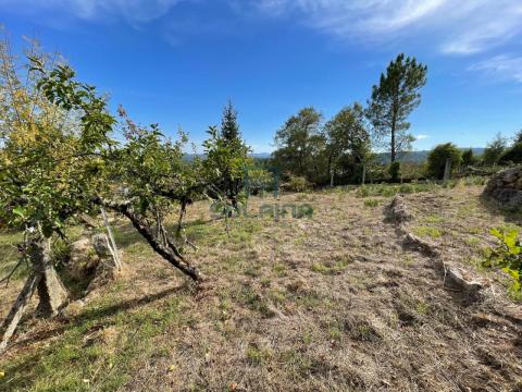 Finca