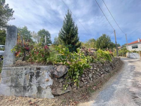 Finca