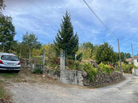 Finca