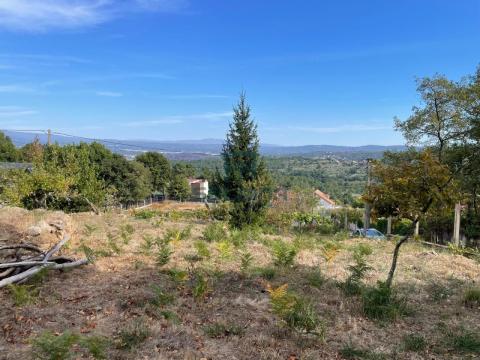 Finca