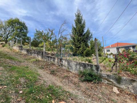 Finca