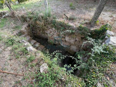 Finca
